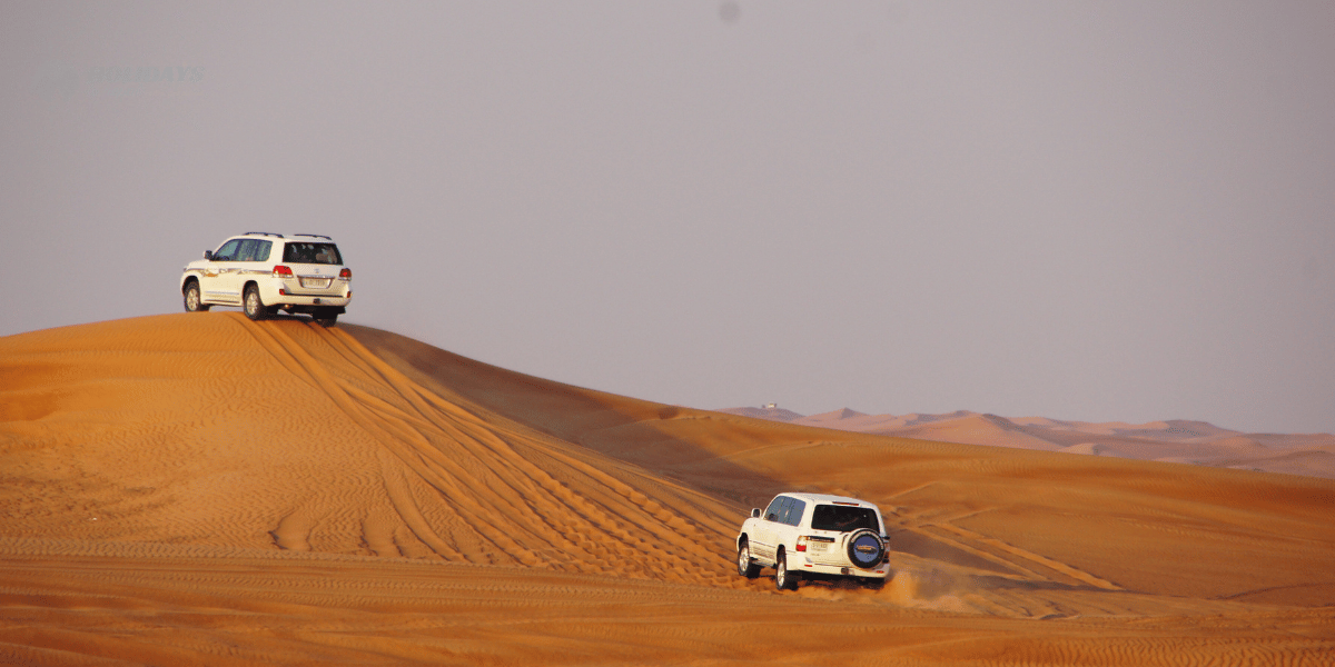 Desert Safari Image